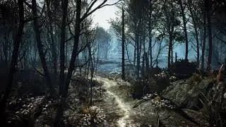 The Witcher 3 / Nature / Music / Самая красивая музыка из игры Ведьмак которую я Люблю слушать