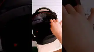Кот в чемодане 🧳😼