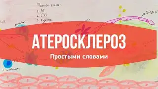 Атеросклероз: Патогенез // Коротко и Простыми словами