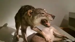 Parque de las Ciencias - Biodomo - Granada