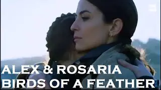 Alex & Rosaria // Birds of a Feather