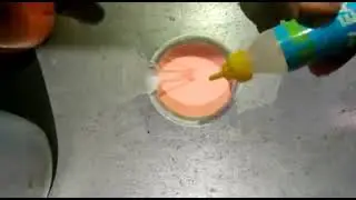 How to make a slime with borax
