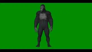 Monster Green screen effects