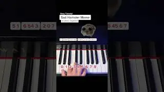 SAD HAMSTER MEME - Keyboard/Piano Tutorial #pianotutorial #easypiano #learnpiano #keyboardtutorial