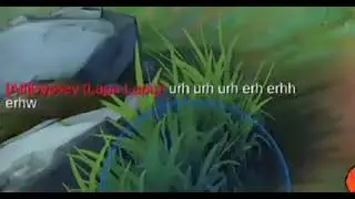 Optimum Pride in Game.. Mobile Legends Version😱😱😱