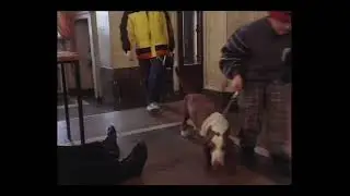 смешной ералаш погодка сегодня отпад