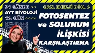 46) Fotosentez ve Solunum İlişkisi - Karşılaştırma | 12. Sınıf Biyoloji | 2024 AYT Biyoloji 46. Gün