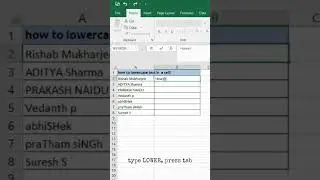 Excel formulas and functions | 