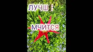 #доброеутро