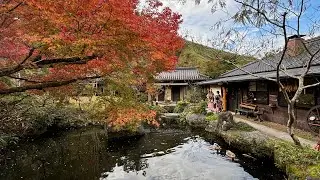 7D6N Kyushu all girls trip Nov 2024 | Day 1 Arrival & Yufuin 🍁