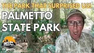 Palmetto State Park. What You Need to Know in Regards to Camping and Hiking.