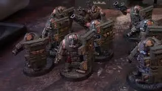 A lot of Ogryns (and Bullgryns)