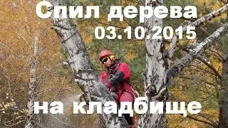 Спил дерева на кладбище, 03.10.2015