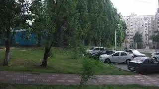 Дерево заболело и повисло на проводах.