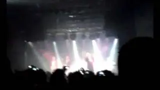alacranes en vivo