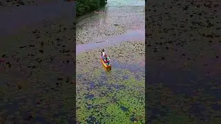 2024 Malarikkal Water Lily Season 👆