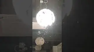 Танец тайских мух