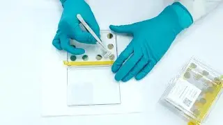 Substrata Glass Coverslip Removal Instructions | Angstrom Engineering