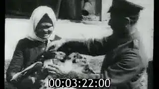 Сюжет  Донская республика 1918