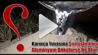 Karınca Yuvasına Alüminyum Dökülürse Ne Olur