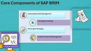 What is SAP BRIM? | SAP BRIM Training | BRIM Tutorial