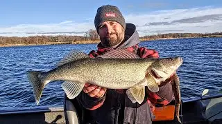 Targeting Fall Fish with HUGE Bait!!
