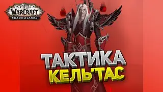 Спасение Солнечного Короля, Кель'тас ⚔️ Замок Нафрия 🏰 Тактика нормал и героик 💀 Shadowlands