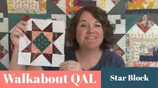 Walkabout QAL / Star Block (Beginner Quilt Series)