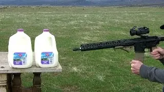 EXPERIMENT GUN VS MILK (AR15)