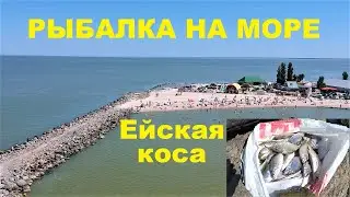 РЫБАЛКА В ЕЙСКЕ