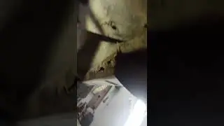 Перекуп наивысочайшего уровня!!!