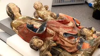 Co lze vyčíst ze dřeva laboratorními metodami?