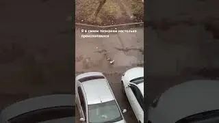 Про вечное