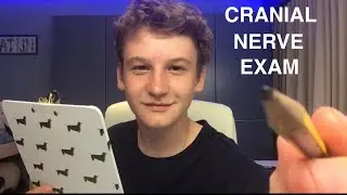 1 Minute Cranial Nerve Exam 👨‍⚕️(Matijn ASMR)