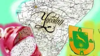 Mariposa Traicionera- Maná
