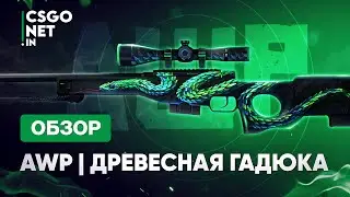 AWP | Atheris (Древесная гадюка) | CS:GO