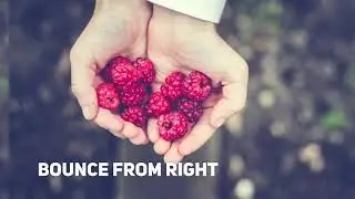 modern transitions After Effects Templates
