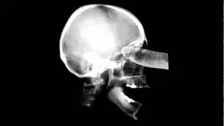 c0cksuck3r.wmv