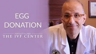 Egg Donation | Fertility Care: The IVF Center
