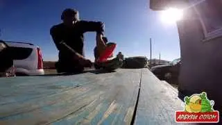 Привитый арбуз на тыкву 14 09 2015