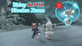 Shiny ALPHA Hisuian Zorua!