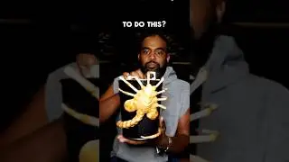 Alien Romulus Viral Popcorn Bucket #amctheatres #alien #facehugger #movies #film