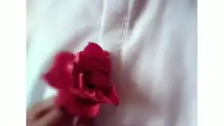 Кошой статусь клиптер(28)