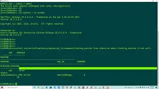Oracle Blocking session Scenario