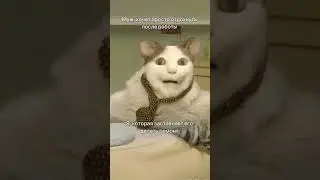 Заставляю мужа после работы делать ремонт🥹