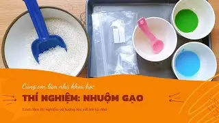 Thí nghiệm: Nhuộm gạo