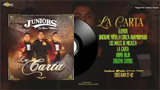 Juniors De Tierra Mixteca ft Ivan Robles | La Carta | Album Completo Produccion 2024