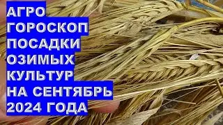 Агрогороскоп посева семян озимых культур в сентябре 2024Agrohoroscope for sowing winter crop seeds i