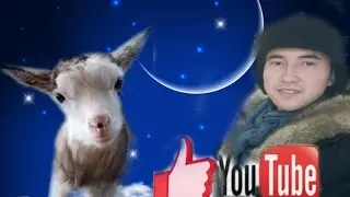 MINI FARM🐑🐐, ауыл шаруашылығы, мал жайлау, ешкі бағу, қой өсіру, лпх,