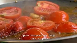 בבושקה הפקות מציגה- סלט משאוייה חצילים של ד